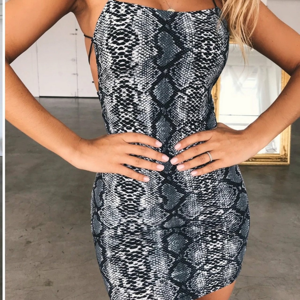 Tiger Mist mini dress